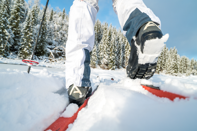 Bilde for kategori Fjellskisko