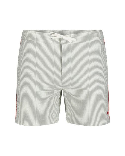 Amundsen Soak Swim Trunk Lichen Green