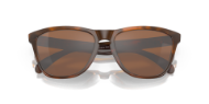 Oakley Frogskins Matte Tort w/Prizm Tungsten