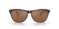 Oakley Frogskins Matte Tort w/Prizm Tungsten