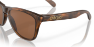 Oakley Frogskins Matte Tort w/Prizm Tungsten
