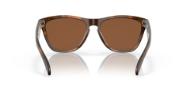 Oakley Frogskins Matte Tort w/Prizm Tungsten