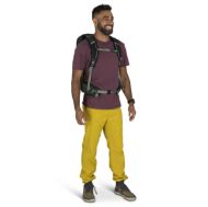 Osprey Talon 22 Green Canopy Pine Leaf