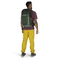 Osprey Talon 22 Green Canopy Pine Leaf