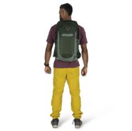 Osprey Talon 22 Green Canopy Pine Leaf