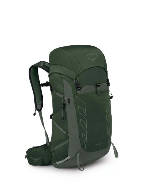 Osprey Talon 33 Green Canopy Pine Leaf