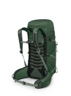 Osprey Talon 33 Green Canopy Pine Leaf