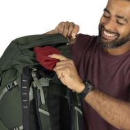Osprey Talon 33 Green Canopy Pine Leaf