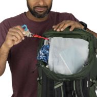 Osprey Talon 33 Green Canopy Pine Leaf
