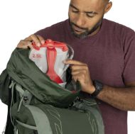 Osprey Talon 33 Green Canopy Pine Leaf