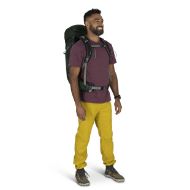 Osprey Talon 33 Green Canopy Pine Leaf
