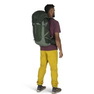 Osprey Talon 33 Green Canopy Pine Leaf