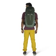 Osprey Talon 33 Green Canopy Pine Leaf