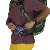 Osprey Talon 33 Green Canopy Pine Leaf