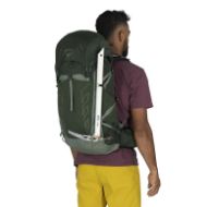 Osprey Talon 33 Green Canopy Pine Leaf