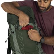 Osprey Talon 33 Green Canopy Pine Leaf