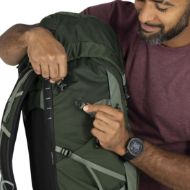 Osprey Talon 33 Green Canopy Pine Leaf