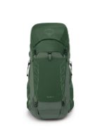 Osprey Talon 44 Green Canopy Pine Leaf