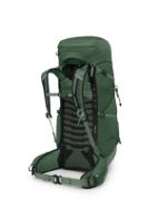 Osprey Talon 44 Green Canopy Pine Leaf