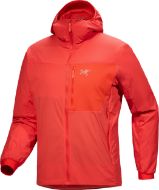 Arcteryx Proton SL Hoody Dynasty