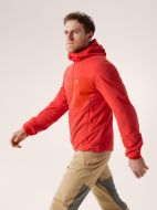 Arcteryx Proton SL Hoody Dynasty