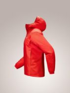 Arcteryx Atom Hoody Dynasty