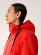 Arcteryx Atom Hoody Dynasty