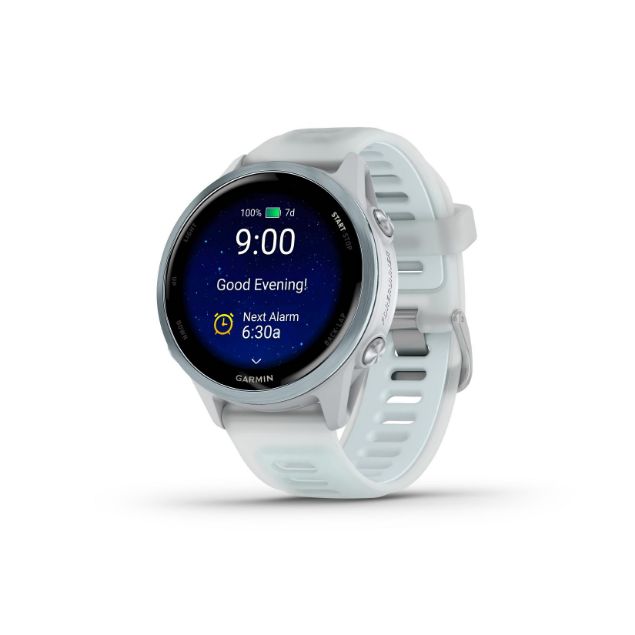 Garmin Forerunner 570 42mm Whitestone/Cloud Blue 