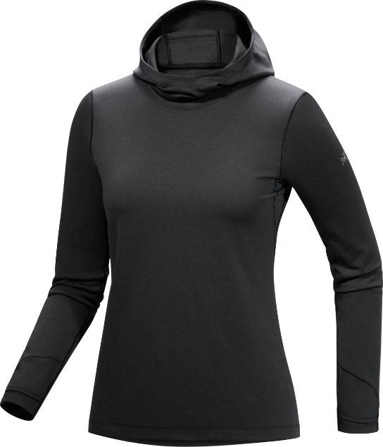 Arcteryx Taema Therm Hoody Womens Black Heater