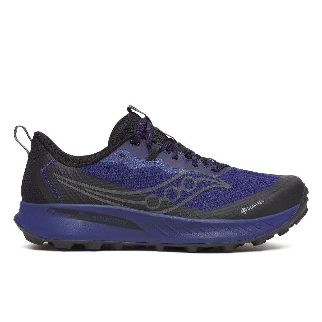 Saucony Peregrine 15 GTX Regal/Black