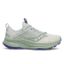 Saucony Ride TR2 GTX Womens Quartz/Mist