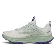 Saucony Ride TR2 GTX Womens Quartz/Mist