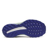 Saucony Ride TR2 GTX Womens Quartz/Mist