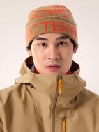 Arcteryx Bird Word Toque Canvas/Dynasty
