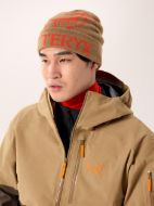 Arcteryx Bird Word Toque Canvas/Dynasty