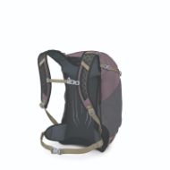 Osprey Hikelite 26 Graphite Purple 