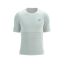 Compressport Pro Racing SS Tshirt Star White