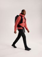 Arcteryx Atom Hoody Stonered