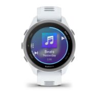 Garmin Forerunner 170 Music Whitestone/Cloud Blue