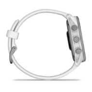 Garmin Forerunner 170 Music Whitestone/Cloud Blue